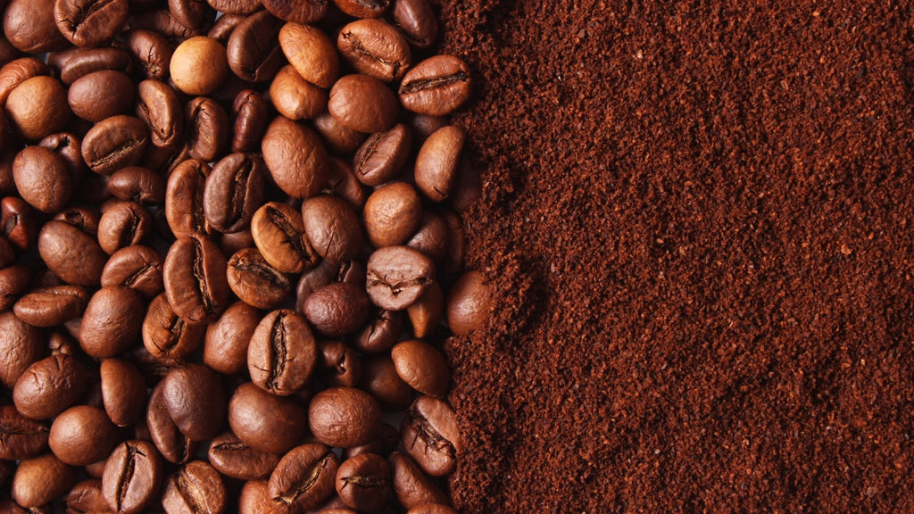 What are the best coffee beans?