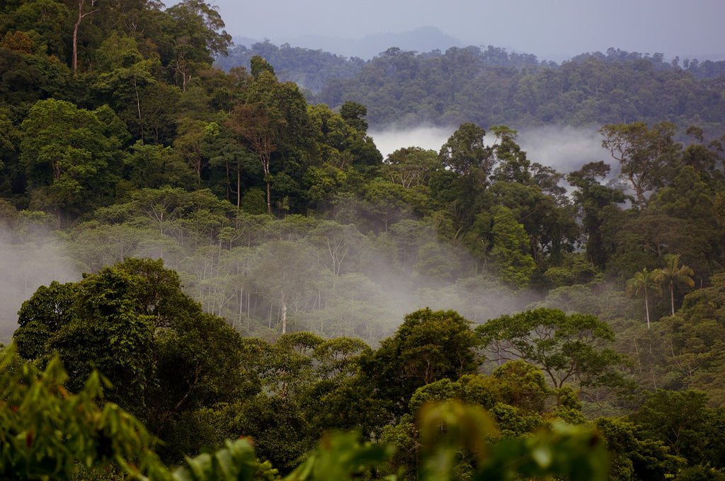 Getting ready to go in search of a new origin for Source Climate Change Coffee- Tanzania here we come!