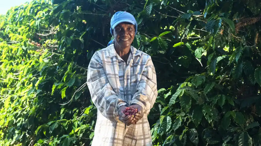 Sustainable Coffee Stories: Equalising Coffee